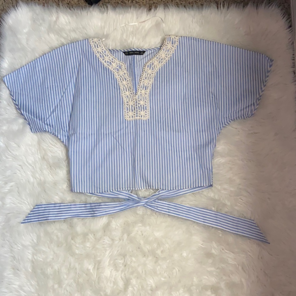 Zara crop top